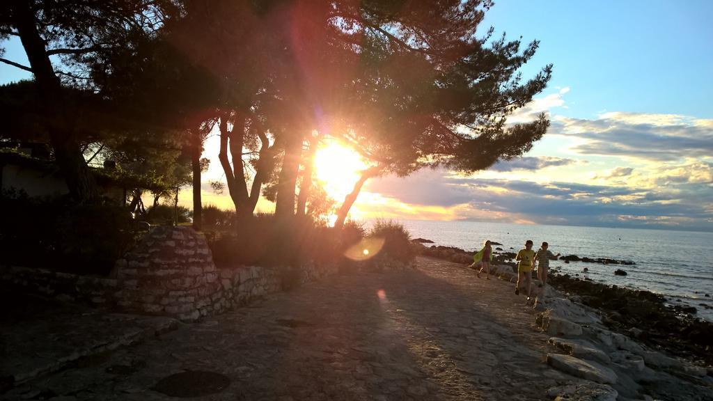 Apartmani Martincic Novigrad Istria Dış mekan fotoğraf